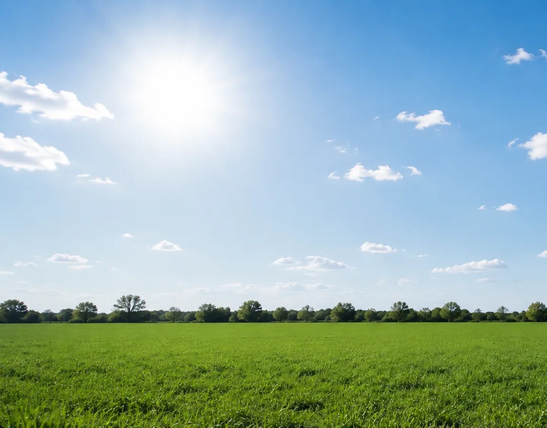 Ampio prato verde sotto un cielo azzurro